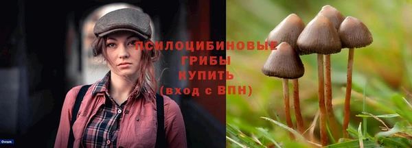 ПСИЛОЦИБИНОВЫЕ ГРИБЫ Козельск
