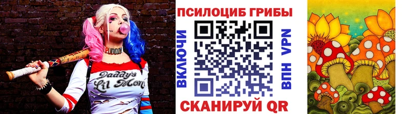 Галлюциногенные грибы Cubensis Дудинка