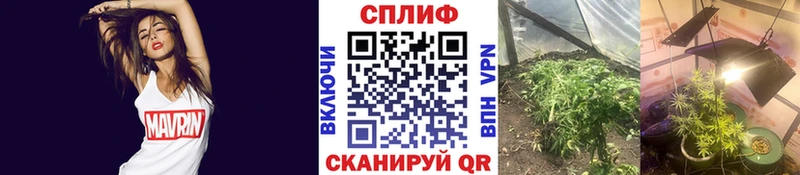 Марихуана марихуана  Дудинка 